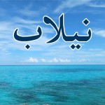 جرائم کی ملکہ