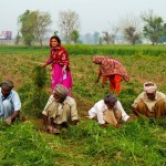 کسانوں کے لیے ۳۴۱؍ ارب کے امدادی منصوبے کا اعلان