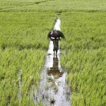 وزیر اعظم کے کسان پیکیج پر بلدیاتی انتخابات تک پابندی