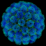 پولیو ویکسین میں کینسر کا سبب بننے والے وائرس کی تصدیق