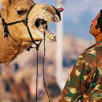 گرمی سے بے حال اونٹ نے مالک کو مار ڈالا