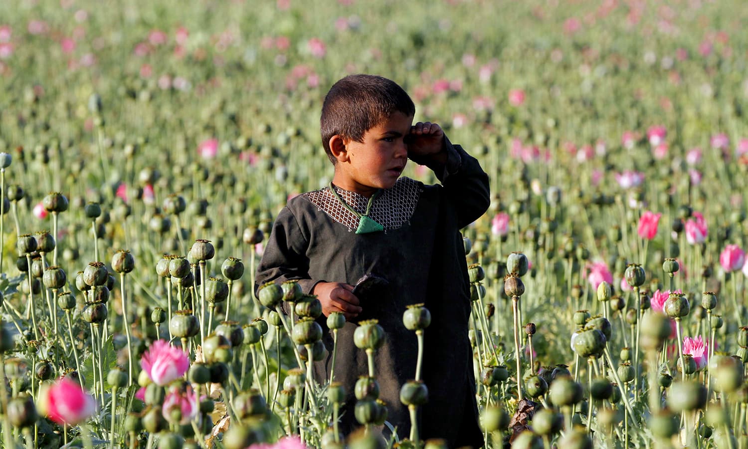 افغانستان میں بچے بھی ہیروئن کی لت میں مبتلا