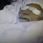 عبدالستار ایدھی کی نماز جنازہ ادا، خدمت کا آسمان زمین میں اُتر گیا!