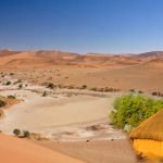 تھر کے عوام کی امیدوں کامرکز ‘رینی کینال پروجیکٹ وفاقی امداد کا منتظر