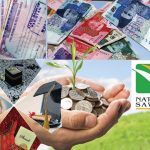 قومی بچت اسکیمیں سرمایہ کاری میں 11 فیصدکی ریکارڈ کمی