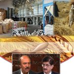 گندم کی خریداری، ہر مرحلہ میں کرپشن، حکومت سندھ خاموش تماشائی بن گئی