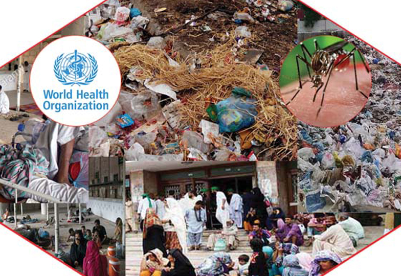 کراچی کے ڈاکٹرز چکن گونیا کے علاج سے لاعلم ہیں ،عالمی ادارہ صحت کا انکشاف