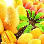 پھلوں کا بادشاہ آم: کینسر، ہائی بلڈ پریشر، ذیابیطس اور کولیسٹرول پر کنٹرول کے لیے آزمودہ