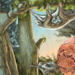 16کروڑ سال قدیم ممالیہ کی دریافت