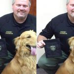 امریکا میں ایک پالتو کتا اعزازی پولیس افسر بن گیا