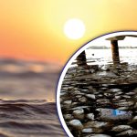 سمندروں میں آکسیجن کی کمی سے ’ڈیڈ زون ‘ پیدا ہو رہے ہیں