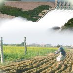 ربیع کی فصل کے لیے 72 لاکھ ایکڑ فٹ پانی کی کمی کاسامنا