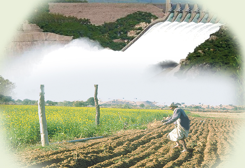 ربیع کی فصل کے لیے 72 لاکھ ایکڑ فٹ پانی کی کمی کاسامنا