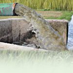 پانی کابحران خریف کی فصل کوکم وبیش 25 فیصد پانی کی کمی کاسامنا