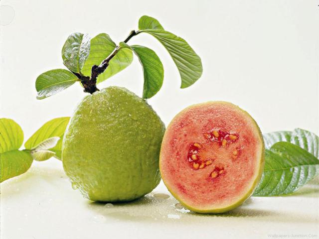 امرود۔زود ہضم اور مزیدار