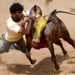 آ بیل مجھے مار  جلی کاٹو‘ جنوبی ہندوستان کا خونخوارمیلہ