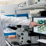 مصری سائنسدانوں نے سمندری پانی کومنٹوں میں میٹھا بنانے کا نظام پیش کردیا