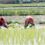 پاکستان کو پانی کی شدید قلت کاسامنا ،خریف کی فصل خطرے میں