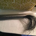 ویتنام ،ہاتھی کی دم کا بال خوش قسمتی کی علامت،20ڈالر میں فروخت