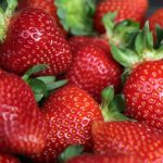 اسٹرابیریز میں سے سوئیاں نکلنا دہشت گردی کے برابر ہے، آسٹریلوی وزیراعظم