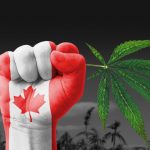 کینیڈا میں ایک صدی بعد بھنگ کی  خرید وفروخت کی اجازت