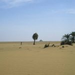 تھر میں زیر زمین 90 ارب کیوبک میٹر پانی ذخائر کا انکشاف