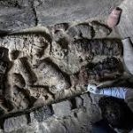 مصرمیں مقبرے سے چار ہزار سالہ قدیم حنوط شدہ بلیاں اور بھونرے برآمد