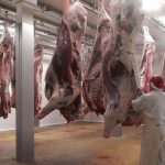 بیلجیئم میں ذبیحہ پر پابندی، مسلمانوں اور یہودیوں میں تشویش