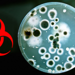 انتہائی مہلک زہررائسین سے حملے کی منصوبہ بندی کرنیوالے ملزمان عدالت پیش