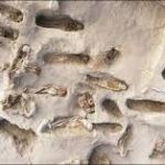 پیرو میں دیوتاؤں کی بھینٹ چڑھائے گئے بچوں کی قدیم اجتماعی قبریں دریافت