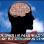 بھارتی دنیا میں سب سے چھوٹے دماغ رکھتے ہیں، تحقیق