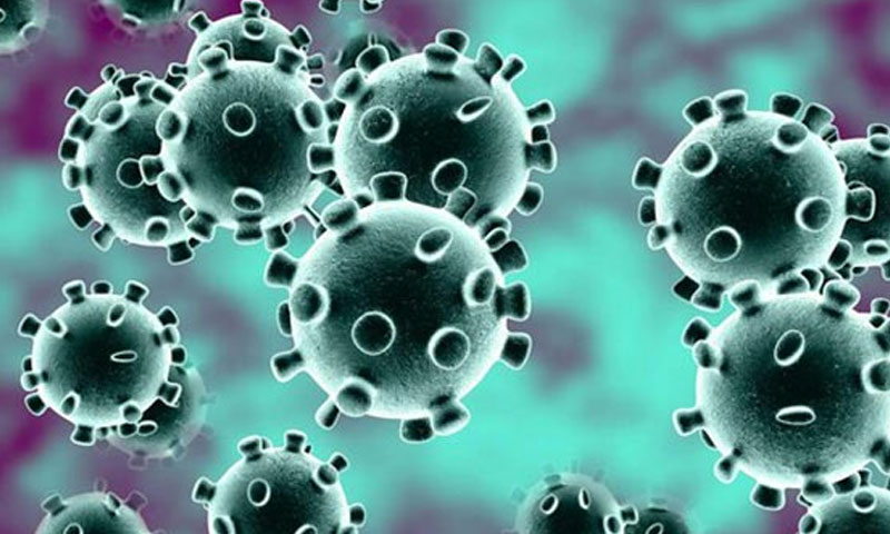 195 ممالک کورونا وائرس کی لپیٹ میں ،ہلاکتوں کی تعداد 16 ہزار 355 ہوگئی