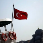 لیرا بحران، ترکی نے غیرملکی اتحادیوں سے مدد مانگ لی