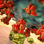 کورونا وائرس کے ایک پیچیدہ ترین معمے کو حل کرنے کی جانب پیشرفت