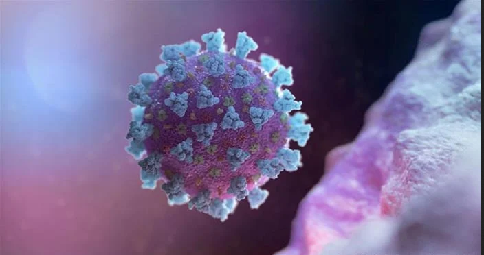 روسی سائنسدانوں نے کورونا وائرس کی کمزوری تلاش کر لی