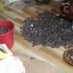 بھارت ، مرنے والے بھکاری کی جھونپڑی سے رقم برآمد،گننے میں آٹھ گھنٹے لگ گئے