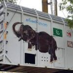'کاون' ہاتھی خصوصی پرواز کے ذریعے کمبوڈیا بھجوادیا گیا