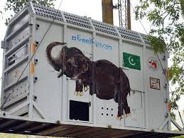 'کاون' ہاتھی خصوصی پرواز کے ذریعے کمبوڈیا بھجوادیا گیا