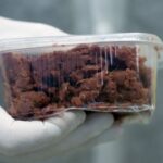 لیبارٹری میں تیار گوشت کی ریستورانوں کے لیے فروخت کی منظوری