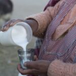 البانیہ، گدھی کے دودھ کو کورونا کا علاج قرار دیے جانے کے بعد مانگ میں اضافہ