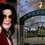 مائیکل جیکسن کی کیلی فورنیا میں جائیداد فروخت کر دی گئی