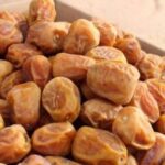 2027 کو کھجوروں کا عالمی سال قراردینے کا فیصلہ