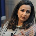 پیپلز پارٹی نے انتخابی اصلاحات سے متعلق صدارتی آرڈیننس مسترد کر دیا