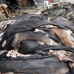 تحریک لبیک سمیت 63 کالعدم تنظیموں پر کھالیں اور عطیات جمع کرنے پر پابندی