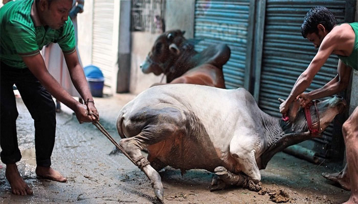 وفاقی حکومت کا عیدالاضحی پر 3 چھٹیاں دینے کا اعلان