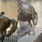 رنجیت سنگھ کا مجسمہ توڑنے والے ملزم کی ضمانت منظور ،رہا کرنے کا حکم