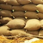 گندم بحران،چیئرمین ٹی سی پی کے خلاف کارروائی کاامکان