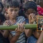 بھارت میں مسلمانوں کی نسل کشی پرانتباہ