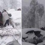 سانحہ مری کا ذمے دار این ڈی ایم اے قرار ، اسلام ہائی کورٹ کا وزیراعظم کو ذمہ داروں کا تعین کرنے کاحکم