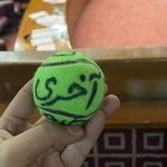 آخری گیند عمران صاحب کو ڈھونڈ رہی ہے،مریم اورنگزیب نے دلچسپ پوسٹ شیئر کردی